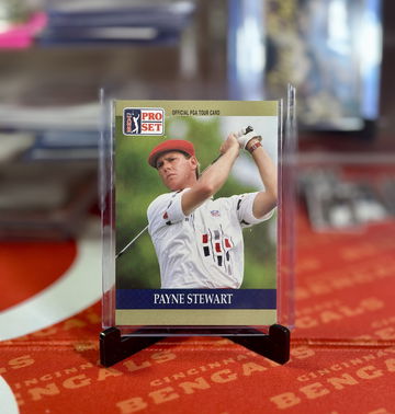 Fan Favorite Friday image 2