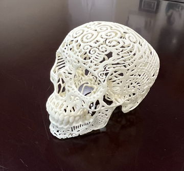 3-D printed human sk image 1