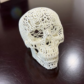 3-D printed human sk image 2