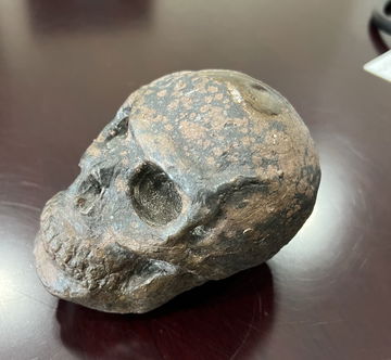 Bronze-casted skull image 1