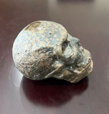 Bronze-casted skull image 2