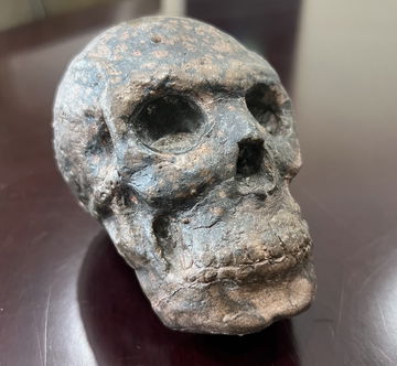 Bronze-casted skull image 3