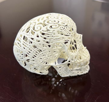 3-D printed human sk image 3