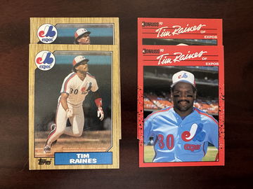 Tim “Rock” Raines | image 1