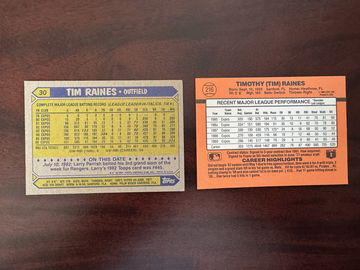 Tim “Rock” Raines | image 2