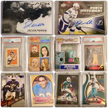 Collector Spotlight: image 2