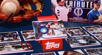 Daily Reflection: Re image 2