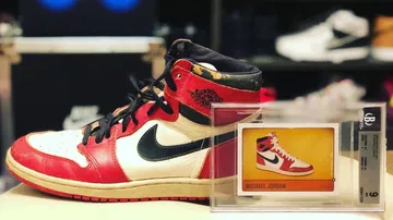 Daily Reflection: Sa image 2