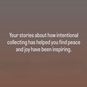 Collector Appreciati image 2