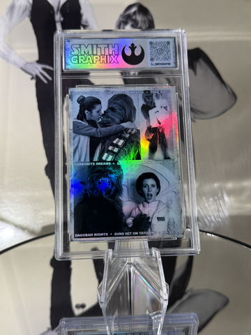 Chewbacca & Leia Hol image 2