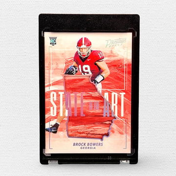 My first ever Brock image 1