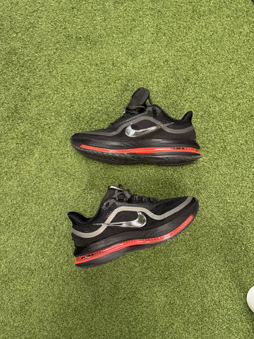 Nike Pegasus Premium image 1