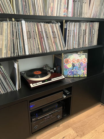 The Zombies ‘Oracle image 1