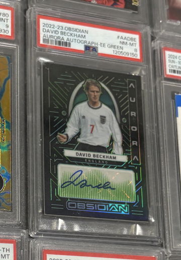 Collector Showcase L image 5