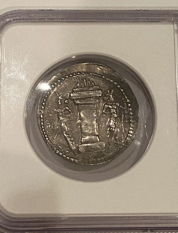 My collection of Sha image 3