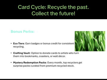 A potential solution image 4