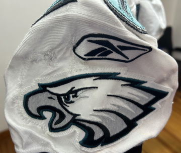 Dion Lewis NFL Debut image 3