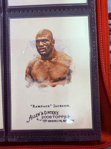 2008 Allen & Ginter image 5