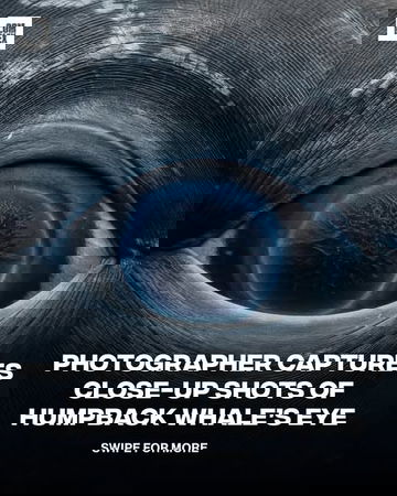 Big Spend promotion image 2