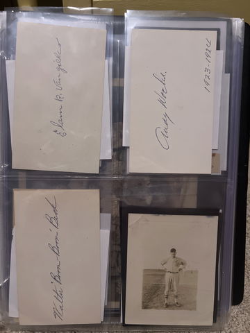 Bloomington Bloomers image 1