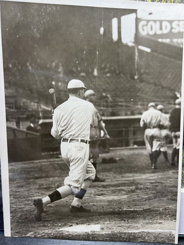 Bloomington Bloomer image 1