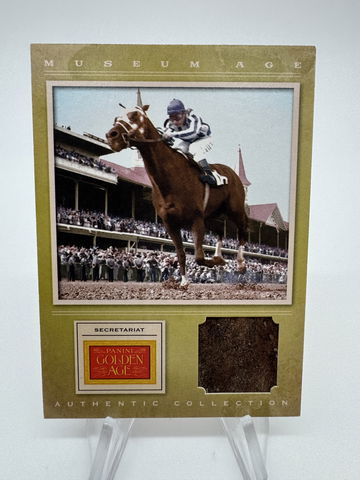 Secretariat Saddle U image 1
