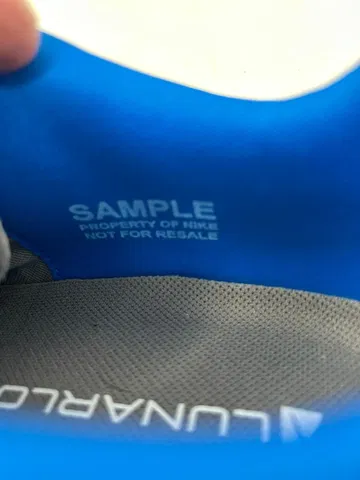 Unreleased Nike SB L image 7