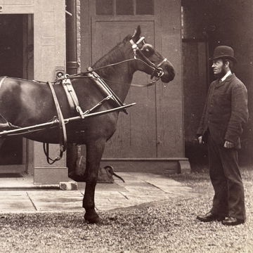 1889 Photographs - " image 3