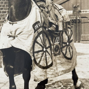 Horse Dressed as a M image 2