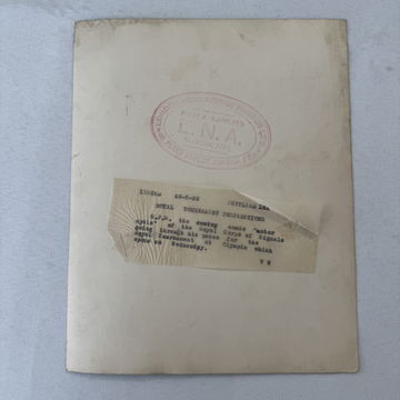 Horse Dressed as a M image 5