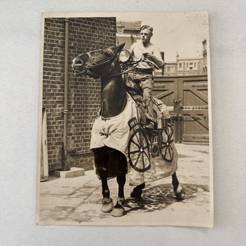 Horse Dressed as a M image 1