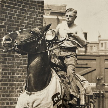 Horse Dressed as a M image 3