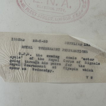 Horse Dressed as a M image 4