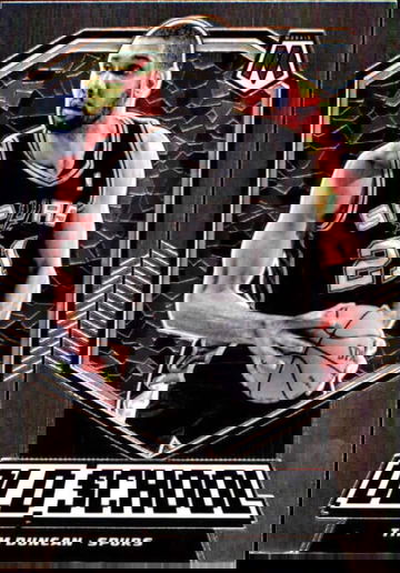 Entire collection fo image 100