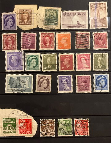 Queen elizabeth is a image 13