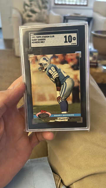 B. Sanderson_Slipper image 1