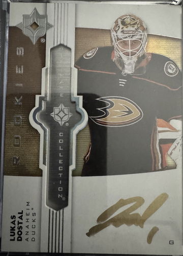 Pickups this Week image 3