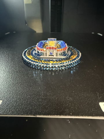 Carolina Panthers Co image 6