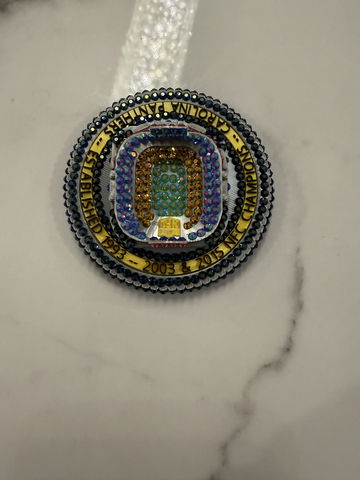 Carolina Panthers Co image 3