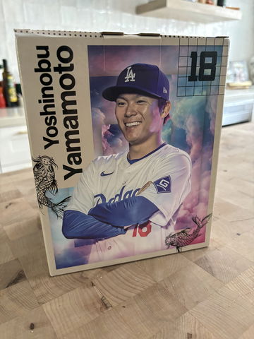 Yoshinobu Yamamoto B image 1