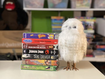 đź‘€ we all know the s image 15