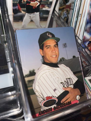 “Hey, what did you d image 13