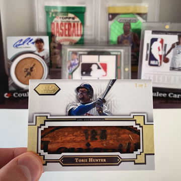 My newest addition t image 1