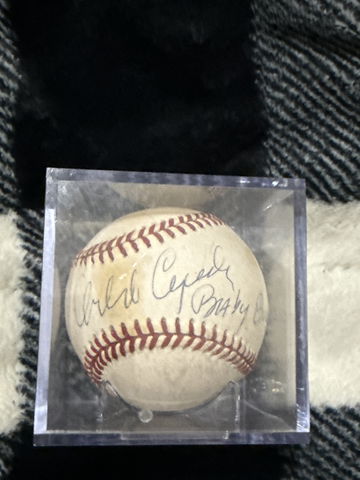 Baby Bull đ image 1