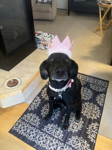 “You’re so difficult image 1